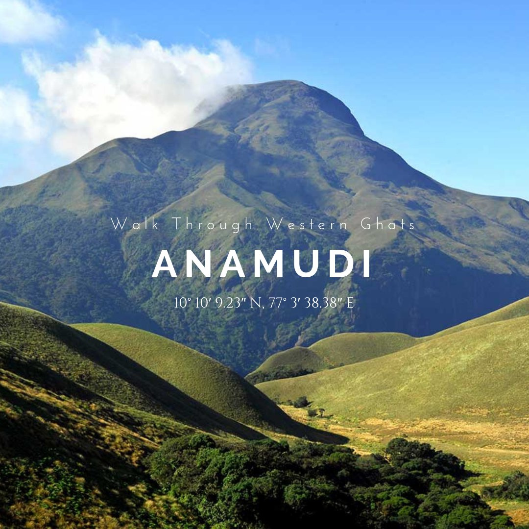 Thumbnail 18